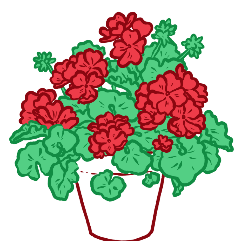 BLOG FLORES 4