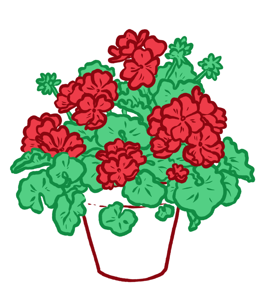 BLOG FLORES 4